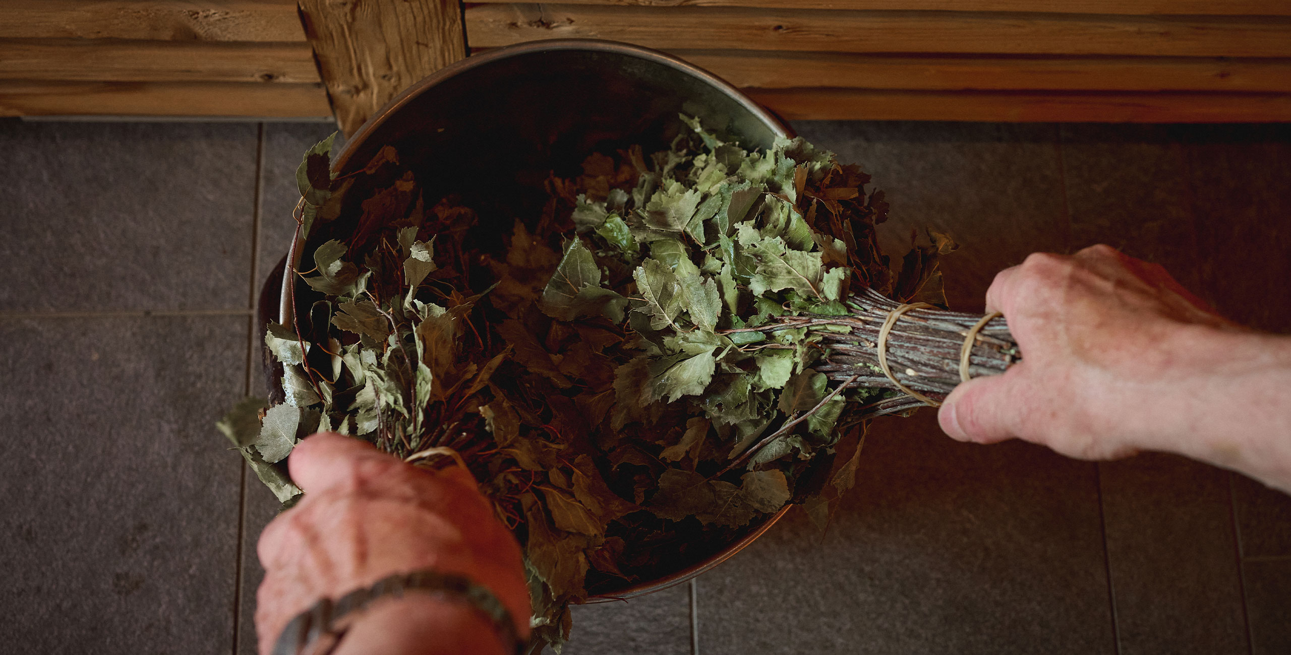 Nahaufnahme Wenik-Zweige