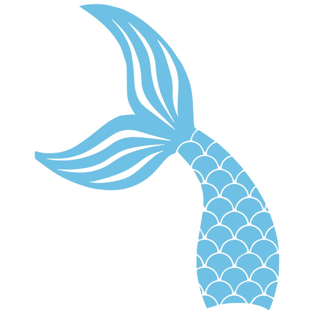 Schwimmflosse